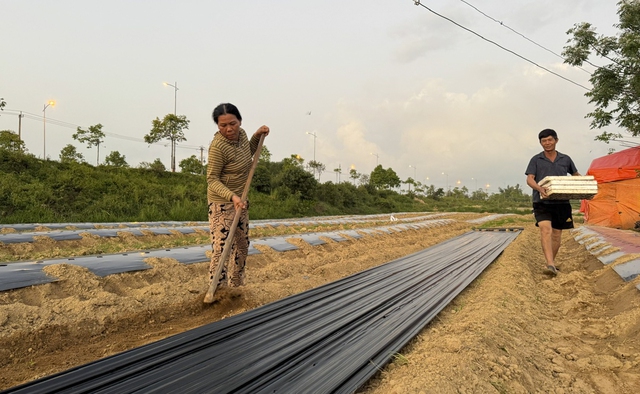 Mưu sinh tr&ecirc;n s&ocirc;ng Tr&agrave;: Đời n&ocirc;ng d&acirc;n 'du mục'- Ảnh 3.