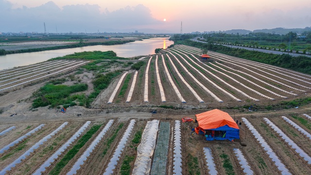 Mưu sinh tr&ecirc;n s&ocirc;ng Tr&agrave;: Đời n&ocirc;ng d&acirc;n 'du mục'- Ảnh 4.