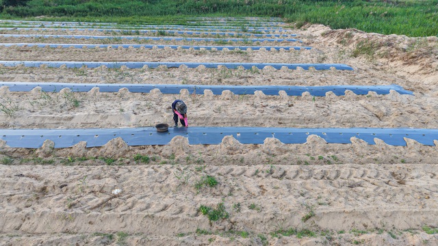 Mưu sinh tr&ecirc;n s&ocirc;ng Tr&agrave;: Đời n&ocirc;ng d&acirc;n 'du mục'- Ảnh 5.