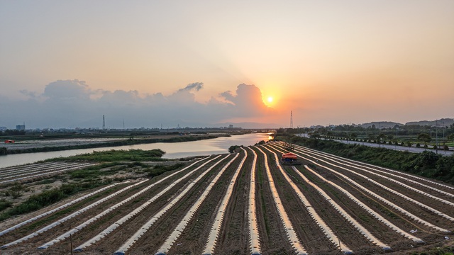 Mưu sinh tr&ecirc;n s&ocirc;ng Tr&agrave;: Đời n&ocirc;ng d&acirc;n 'du mục'- Ảnh 7.