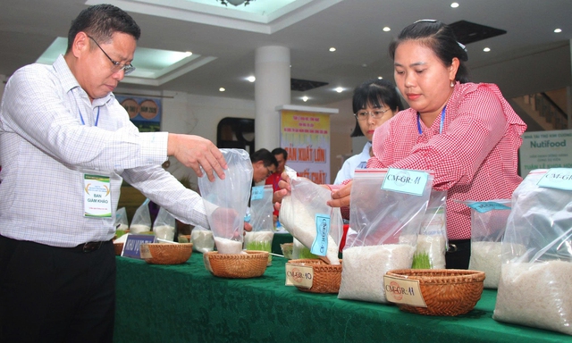 Lần đầu ti&ecirc;n tổ chức cuộc thi gạo ngon Đồng bằng s&ocirc;ng Cửu Long - Ảnh 2.