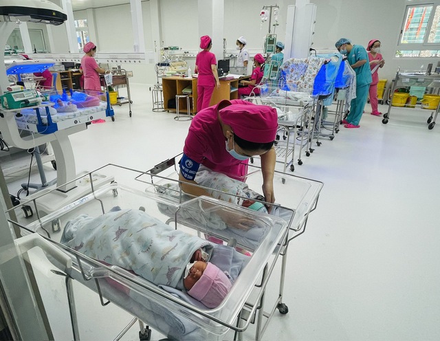 TP.HCM vừa ban h&agrave;nh nhiều ch&iacute;nh s&aacute;ch để người d&acirc;n n&acirc;ng mức sinh- Ảnh 2.