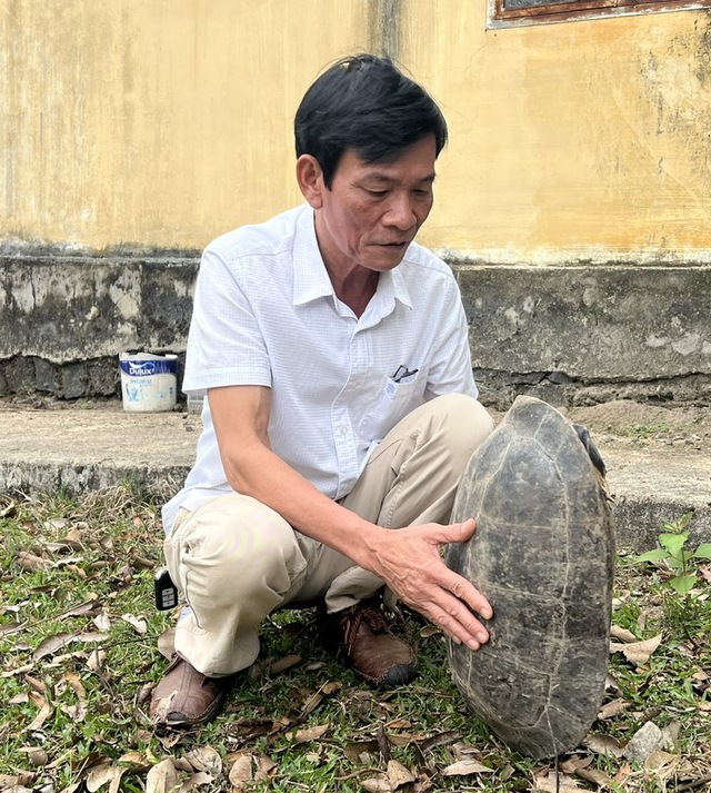 Vườn Quốc gia Kon Ka Kinh hồi sinh những 'b&aacute;u vật' đại ng&agrave;n - Ảnh 1.