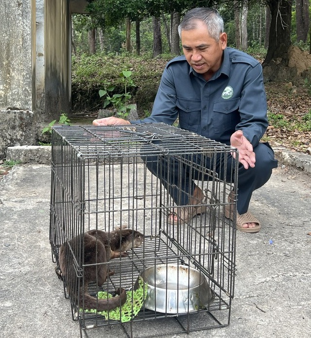 Vườn Quốc gia Kon Ka Kinh hồi sinh những 'b&aacute;u vật' đại ng&agrave;n - Ảnh 2.