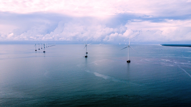 C&agrave; Mau viết lại cấu tr&uacute;c ph&aacute;t triển- Ảnh 1.