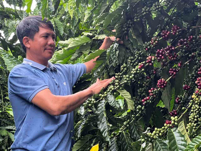 Một phần của k&yacute; ức- Ảnh 1.