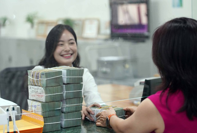 Ngân hàng Nhà nước kiểm tra việc giảm lãi suất- Ảnh 1.