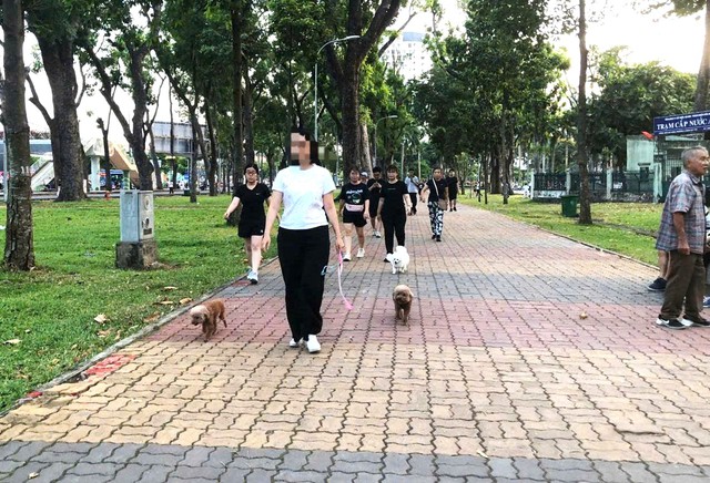 R&ugrave;ng m&igrave;nh cảnh ch&oacute; kh&ocirc;ng rọ m&otilde;m giữa m&ugrave;a nắng n&oacute;ng, nguy cơ dại bủa v&acirc;y- Ảnh 2.