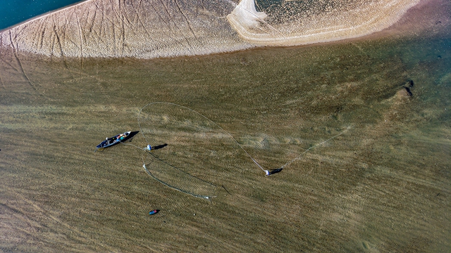 Mưu sinh tr&ecirc;n s&ocirc;ng Tr&agrave;: Nương ph&ugrave; sa m&agrave; sống, theo con nước m&agrave; đi- Ảnh 7.