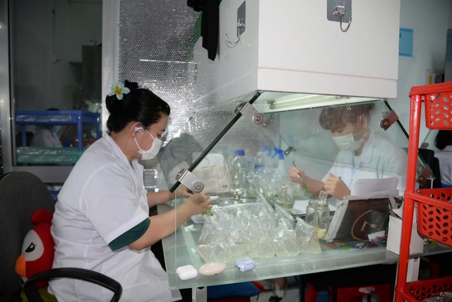 N&ocirc;ng nghiệp c&ocirc;ng nghệ cao ở đất sen hồng- Ảnh 2.