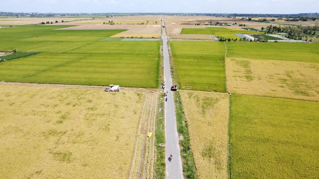 'Chứng thư' đặc biệt của loại gạo 3 lần ngon nhất thế giới - Ảnh 1.