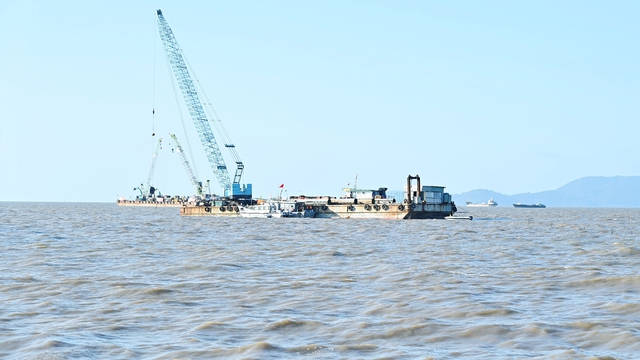 C&agrave; Mau với kh&aacute;t vọng vươn xa- Ảnh 1.