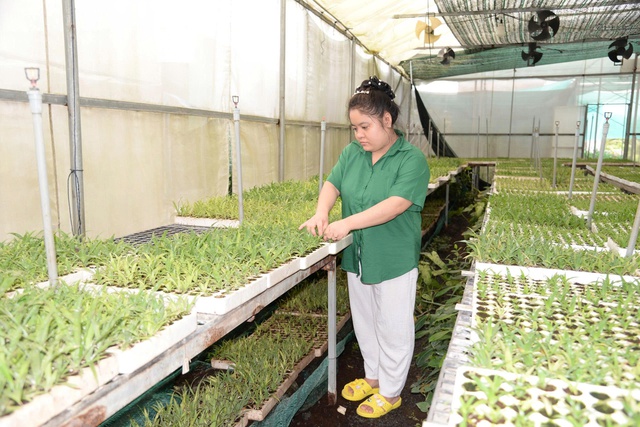 N&ocirc;ng nghiệp c&ocirc;ng nghệ cao ở đất sen hồng- Ảnh 3.