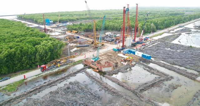 C&agrave; Mau với kh&aacute;t vọng vươn xa- Ảnh 2.