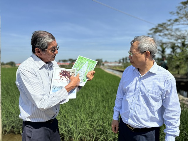 'Chứng thư' đặc biệt của loại gạo 3 lần ngon nhất thế giới - Ảnh 3.