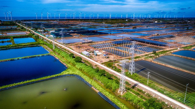 C&agrave; Mau với kh&aacute;t vọng vươn xa- Ảnh 3.