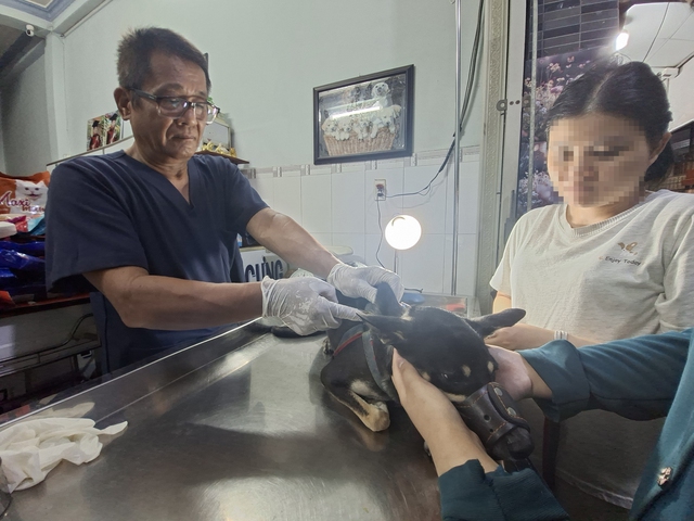 R&ugrave;ng m&igrave;nh cảnh ch&oacute; kh&ocirc;ng rọ m&otilde;m giữa m&ugrave;a nắng n&oacute;ng, nguy cơ dại bủa v&acirc;y- Ảnh 4.