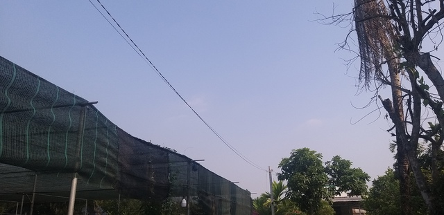 Những tr&aacute;i tim lu&ocirc;n nhiệt huyết, hết l&ograve;ng v&igrave; kh&aacute;ch h&agrave;ng ở điện lực... 'nh&agrave; t&ocirc;i' - Ảnh 4.