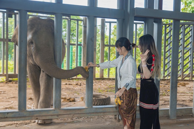 Ch&agrave;ng trai Việt - L&agrave;o 'thắp lửa' du lịch Bu&ocirc;n Đ&ocirc;n- Ảnh 2.