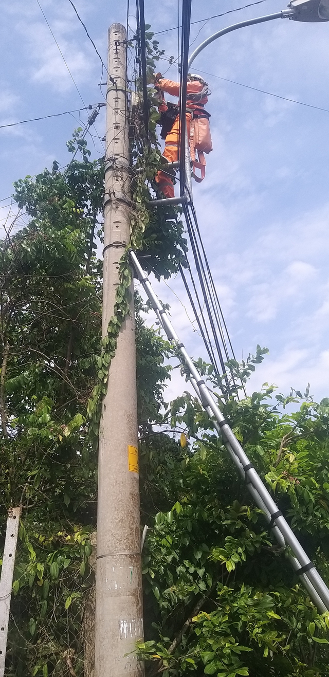 Những tr&aacute;i tim lu&ocirc;n nhiệt huyết, hết l&ograve;ng v&igrave; kh&aacute;ch h&agrave;ng ở điện lực... 'nh&agrave; t&ocirc;i' - Ảnh 3.