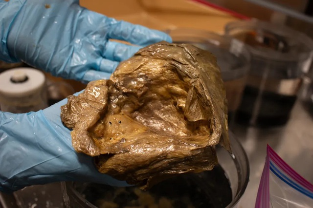 Giải mã bí ẩn ‘quả cầu vàng’ dưới đáy đại dương ở Mỹ - Ảnh 1.