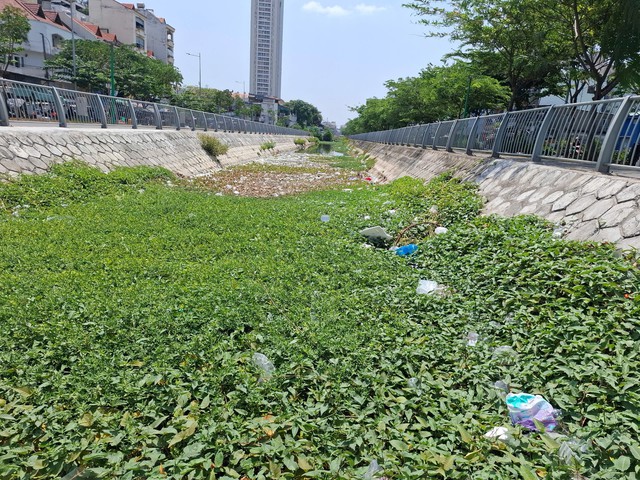 Những d&ograve;ng k&ecirc;nh chứa đầy cỏ, r&aacute;c- Ảnh 2.