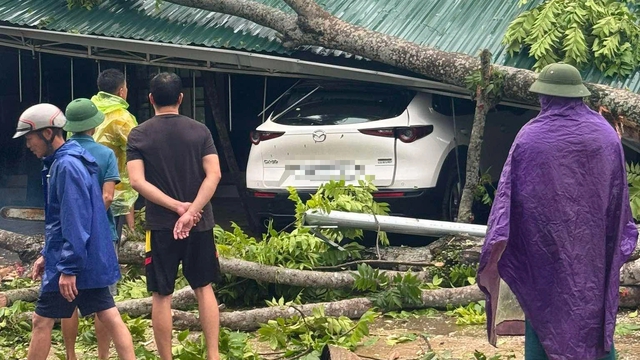 Mưa đ&aacute; v&agrave; gi&oacute; lốc xảy ra nhiều nơi ở Thanh H&oacute;a- Ảnh 2.