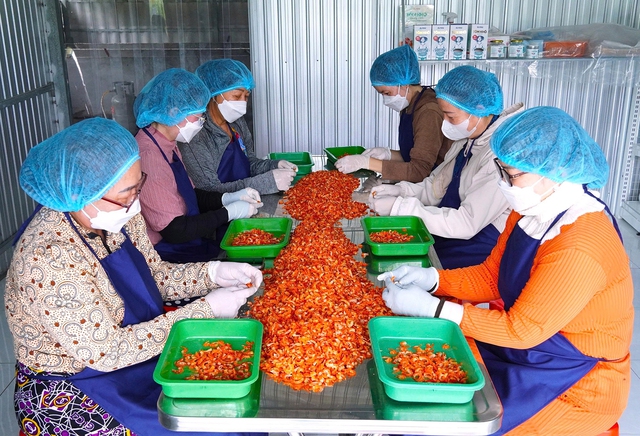 X&atilde; Hồ Thị Kỷ chuyển hướng sản xuất n&ocirc;ng nghiệp th&iacute;ch ứng biến đổi kh&iacute; hậu - Ảnh 3.