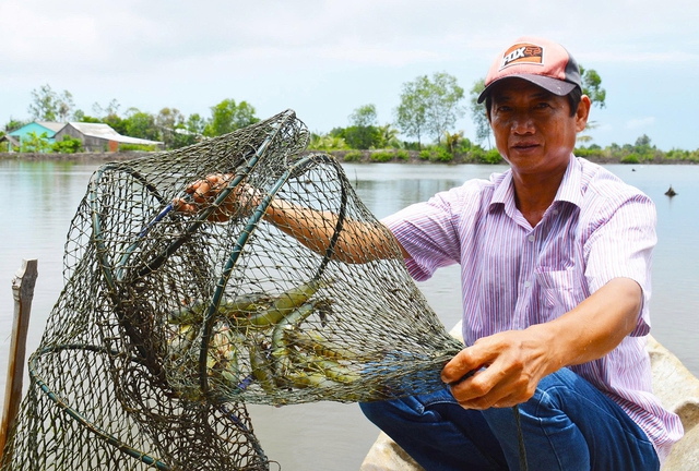 X&atilde; Hồ Thị Kỷ chuyển hướng sản xuất n&ocirc;ng nghiệp th&iacute;ch ứng biến đổi kh&iacute; hậu - Ảnh 2.