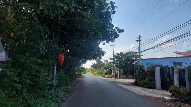 C&acirc;y xanh x&ograve;e t&aacute;n ra đường- Ảnh 1.