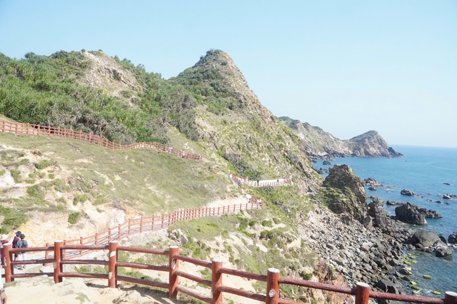  Vì sao cộng đồng phản ứng?- Ảnh 5.