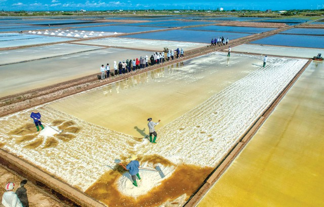 Kh&aacute;m ph&aacute; v&ugrave;ng đất cực Nam của Tổ quốc- Ảnh 5.