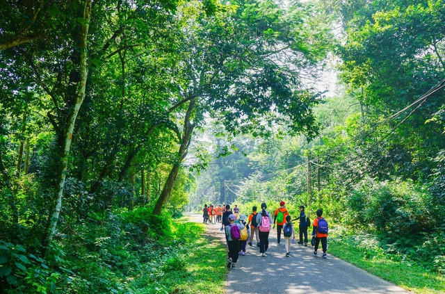 Nghỉ lễ 30.4 - 1.5: Lượng kh&aacute;ch tăng cao, th&ocirc;ng b&aacute;o quan trọng từ rừng C&uacute;c Phương- Ảnh 3.