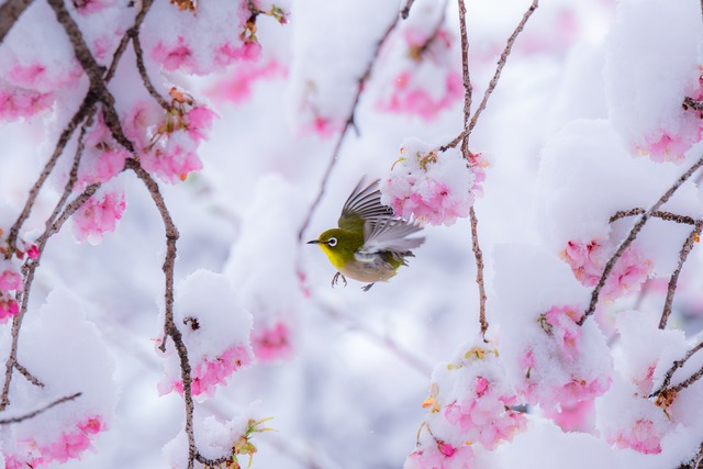 Lịch &acirc;m h&ocirc;m nay ng&agrave;y 4.4: Ng&agrave;y g&igrave; m&agrave; nhiều người Việt quan t&acirc;m? - Ảnh 2.