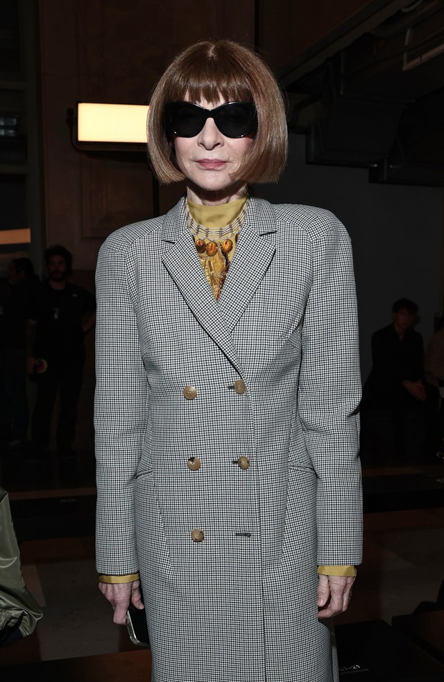 Meryl Streep v&agrave; Anna Wintour h&oacute;a ra l&agrave; họ h&agrave;ng xa - Ảnh 3.