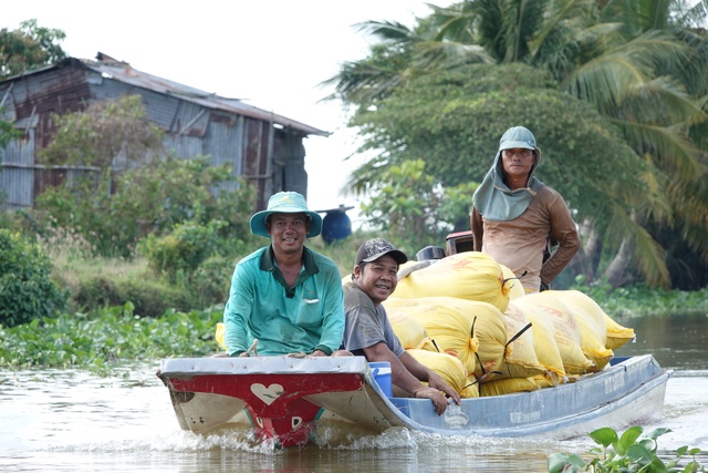 Gạo Việt Nam đang 'hot' trở lại, v&igrave; sao?- Ảnh 1.