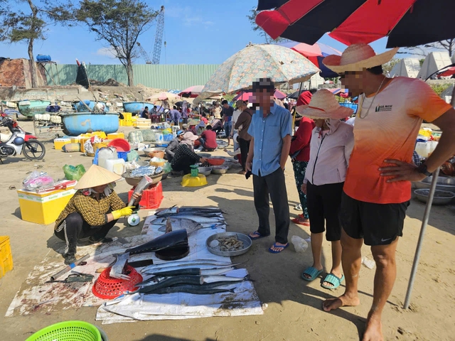 Chợ hải sản tự ph&aacute;t tại biển Long Cung g&acirc;y &ocirc; nhiễm m&ocirc;i trường nghi&ecirc;m trọng - Ảnh 2.