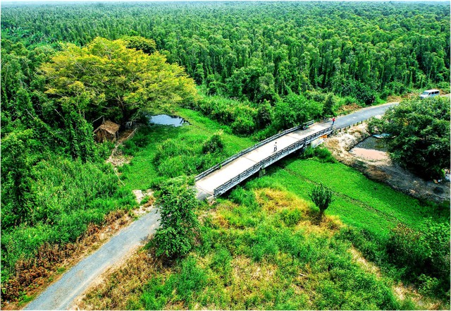 U Minh Hạ quy hoạch 1.300 ha, nhắm đ&oacute;n hơn 300.000 kh&aacute;ch mỗi năm- Ảnh 2.