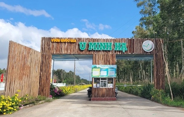 U Minh Hạ quy hoạch 1.300 ha, nhắm đ&oacute;n hơn 300.000 kh&aacute;ch mỗi năm- Ảnh 1.