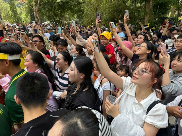 Kh&aacute;ch du lịch đổ về Thảo Cầm Vi&ecirc;n dự 'đ&aacute;m cưới hươu cao cổ' - Ảnh 8.