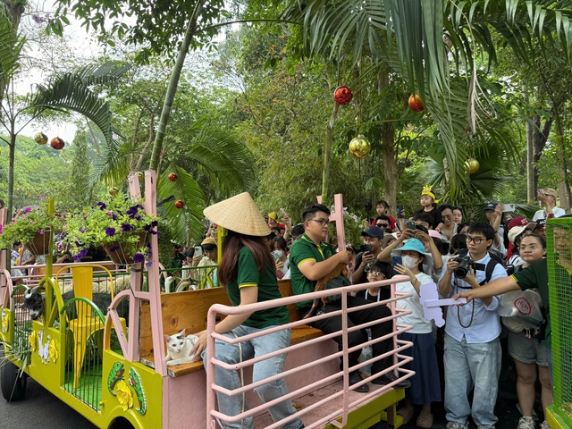 Kh&aacute;ch du lịch đổ về Thảo Cầm Vi&ecirc;n dự 'đ&aacute;m cưới hươu cao cổ' - Ảnh 3.