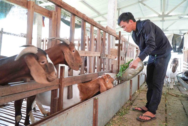 Người trẻ gi&agrave;u l&ecirc;n nhờ l&agrave;m mới nghề cũ - Ảnh 1.