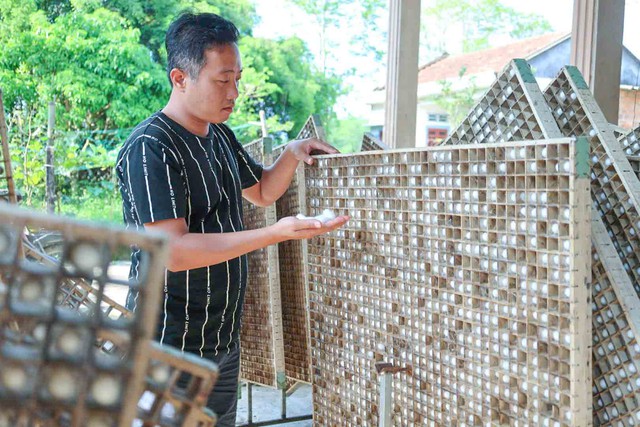 Người trẻ gi&agrave;u l&ecirc;n nhờ l&agrave;m mới nghề cũ - Ảnh 2.