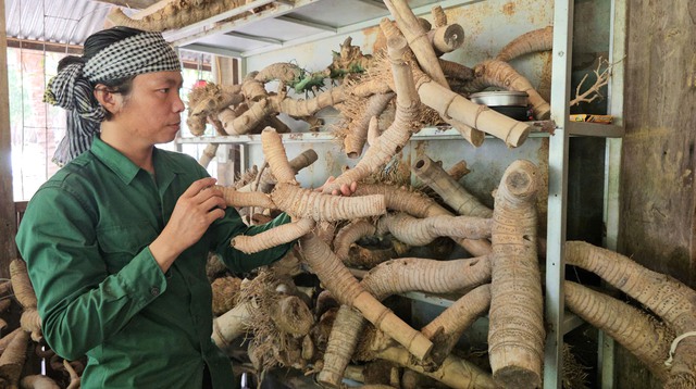 Chuyện ch&agrave;ng trai 8X 'thổi hồn' v&agrave;o tre gai, tạo m&ocirc; h&igrave;nh độc bản ở T&acirc;y Ninh- Ảnh 2.