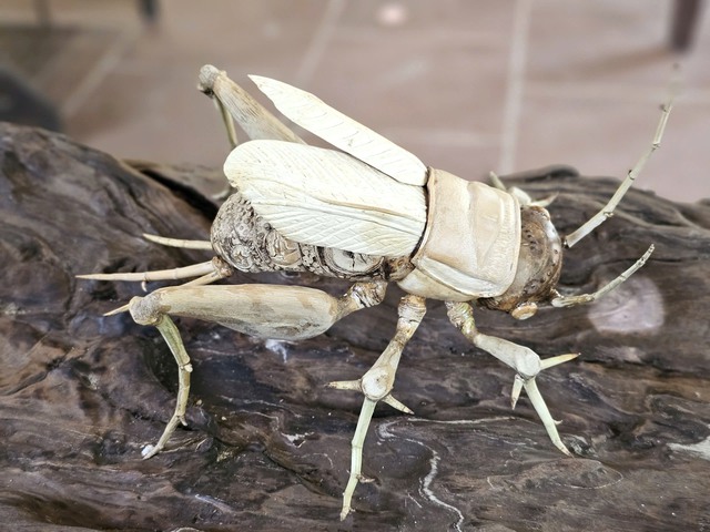 Chuyện ch&agrave;ng trai 8X 'thổi hồn' v&agrave;o tre gai, tạo m&ocirc; h&igrave;nh độc bản ở T&acirc;y Ninh- Ảnh 9.