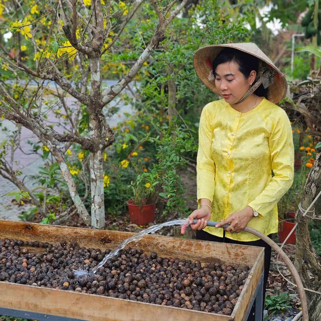 Nữ kỹ sư khởi nghiệp với tr&aacute;i m&ugrave; u, thu gần 300 triệu đồng/năm - Ảnh 1.