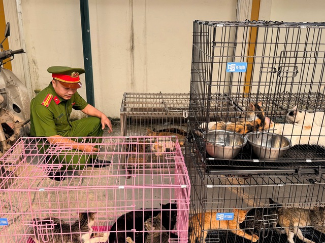 Bắt nh&oacute;m trộm m&egrave;o ở H&agrave; Nội- Ảnh 1.