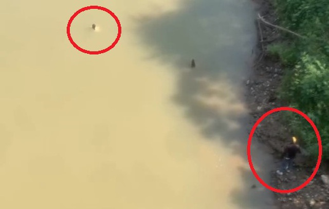 Người đàn ông cứu người giữa dòng Sêrêpốk , hành động dũng cảm đáng khâm phục - Ảnh 1. Người đàn ông cứu người giữa dòng Sêrêpốk , hành động dũng cảm đáng khâm phục - Ảnh 1.