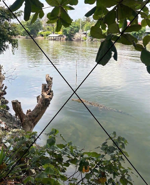 Sử dụng AI để ‘câu view’ tiêu cực: Có thể bị phạt đến 7 năm tù- Ảnh 1. Sử dụng AI để ‘câu view’ tiêu cực: Có thể bị phạt đến 7 năm tù- Ảnh 1.