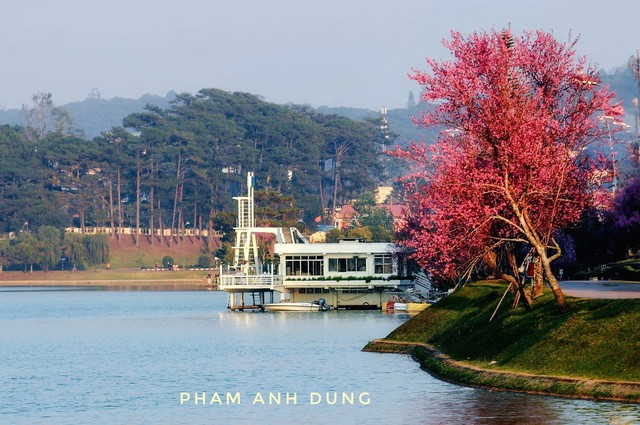 Dalattourist: &lsquo;Hạt nh&acirc;n&rsquo; h&uacute;t kh&aacute;ch du lịch L&acirc;m Đồng trong năm 2026 - Ảnh 4.